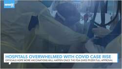 Newsy’s Latest Headlines News Clip