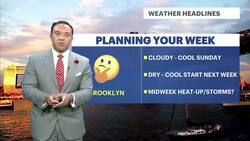 Cloudy and cool for Father's Day in Brooklyn News Clip