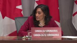 Anand says the protective gear Ottawa is buying will be checked for quality News Clip