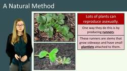 Asexual Reproduction in Plants Instructional Video
