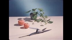 Still Life and Watercolors, 1950s Stock Footage