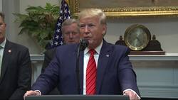 Trump plans to get involved in diplomat UK case Instructional Video