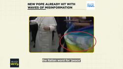 LGBTQ+ flags, 'wokeness' and sexual abuse coverups: The misinformation already targeting the pope News Clip