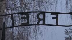 Holocaust survivors gather 75 years after liberation Instructional Video