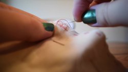 Summer Camp @ Home: Let's Learn to Sew! Instructional Video