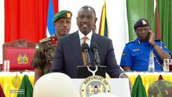 First group of Kenyan police force departs for Haiti to lead UN-backed mission News Clip