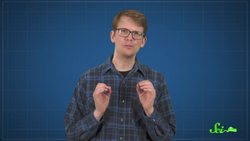 The Birds That Lived in The Age of Dinosaurs Instructional Video