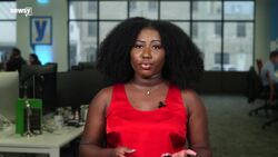 U.S. Customs Agents Seize Over 52,000 Illegal Gun Parts In 3 Months News Clip