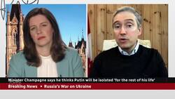 'Things are never going to be the same,' minister says on companies working with Russia News Clip