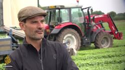 Brexit back on agenda despite coronavirus pandemic News Clip