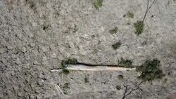 CLEAN : Yearly slash and burn farming threatens Madagascar's forests News Clip