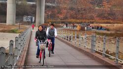 Best Time to Visit Seoul Instructional Video