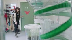 Zookeepers Are Trying to Save This Beautiful Butterfly From Extinction Instructional Video