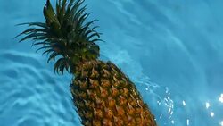 Pineapple Floating In blue Water In Swimming Pool. Healthy Raw Organic Food. Juicy Fruit. Vegetarian, Vegan Nutrition, Vitamins, Diet, summer holidays, vacation concepts. Exotic tropical background Stock Footage