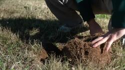 Parks Canada says our history’s at risk with recent “looting” News Clip