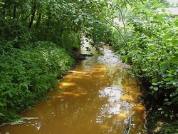 Problemas ambientales y soluciones: cuales son los problemas ambientales Instructional Video