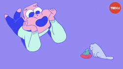 TED-Ed: Why do you want to squeeze cute things? | Joshua Paul Dale Instructional Video