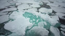 sailing in frozen sea, Svalbard Stock Footage