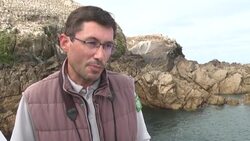 CLEAN : Island sanctuary extension riles locals in western France News Clip