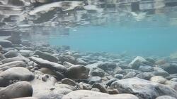 'Vigorous' rivers in forecast when heat hits mountain snowpack News Clip