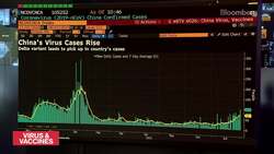 Delta Cases Threaten China Recovery News Clip