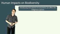 Human Impacts on Biodiversity: Causes and Solutions Instructional Video