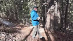 Can wild winter weather impact trees? News Clip