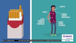 How Does Cancer Work In The Body? News Clip