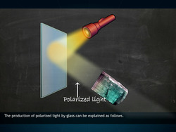 Polarization Instructional Video