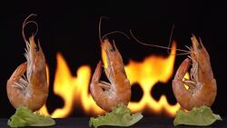 grill shrimp Stock Footage