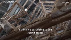 Art Basel: 270 exhibitors show Art market's resilience as decaying bread takes the cake News Clip