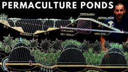PERMACULTURE PONDS: Why, Where & How Instructional Video