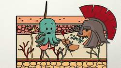 ¿Por qué la gente usa tatuajes? Instructional Video