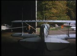 Man in the Sky Stock Footage