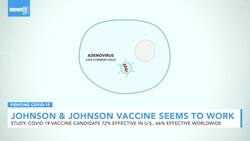 Study: J&J COVID-19 Vaccine 72% Effective in U.S. News Clip
