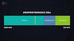 How Earth's First, Unkillable Animals Saved the World Instructional Video