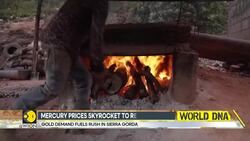 Mercury Prices Skyrocket to Record High; Poor Miners Suffer Deadly Exposure News Clip