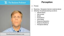 Perception Instructional Video