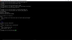Bash Shell Scripting- Installing multiple packages with for loop and command line arguments Instructional Video