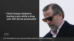 Hunter Biden's guilty plea on tax charges clears way for congressional investigation News Clip