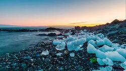 Plastic pollution on Arctic coast. Stock Footage