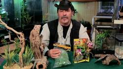 Best Decorations for a Pet Tarantula's Terrarium Instructional Video