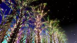 Neon Tree illumination Stock Footage