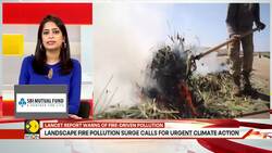 Delhi: Air pollution's Deadly Toll Revealed News Clip
