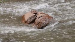 Changes on Earth Instructional Video