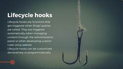 The Complete Strapi™ Course with Plugins and Deployment - Lifecycle Hooks: The Theory Instructional Video