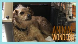 Crates - A Safe Space Instructional Video