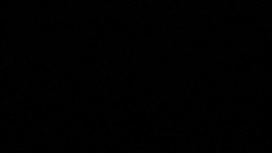 CLEAN : Top Democrat Pelosi says ripping up Trump's speech was courteous News Clip