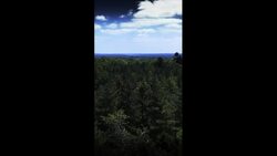 Why are truffles the most expensive food in the world? Instructional Video