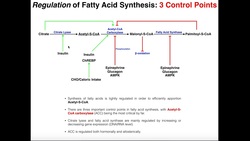 Regulation of Fatty Acid Metabolism Instructional Video
